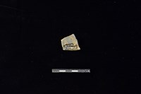 陶片藏品圖，第2張